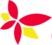 SEO Manager / SEO Specialist – Client Websites